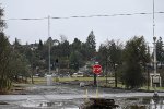 Auburn CA